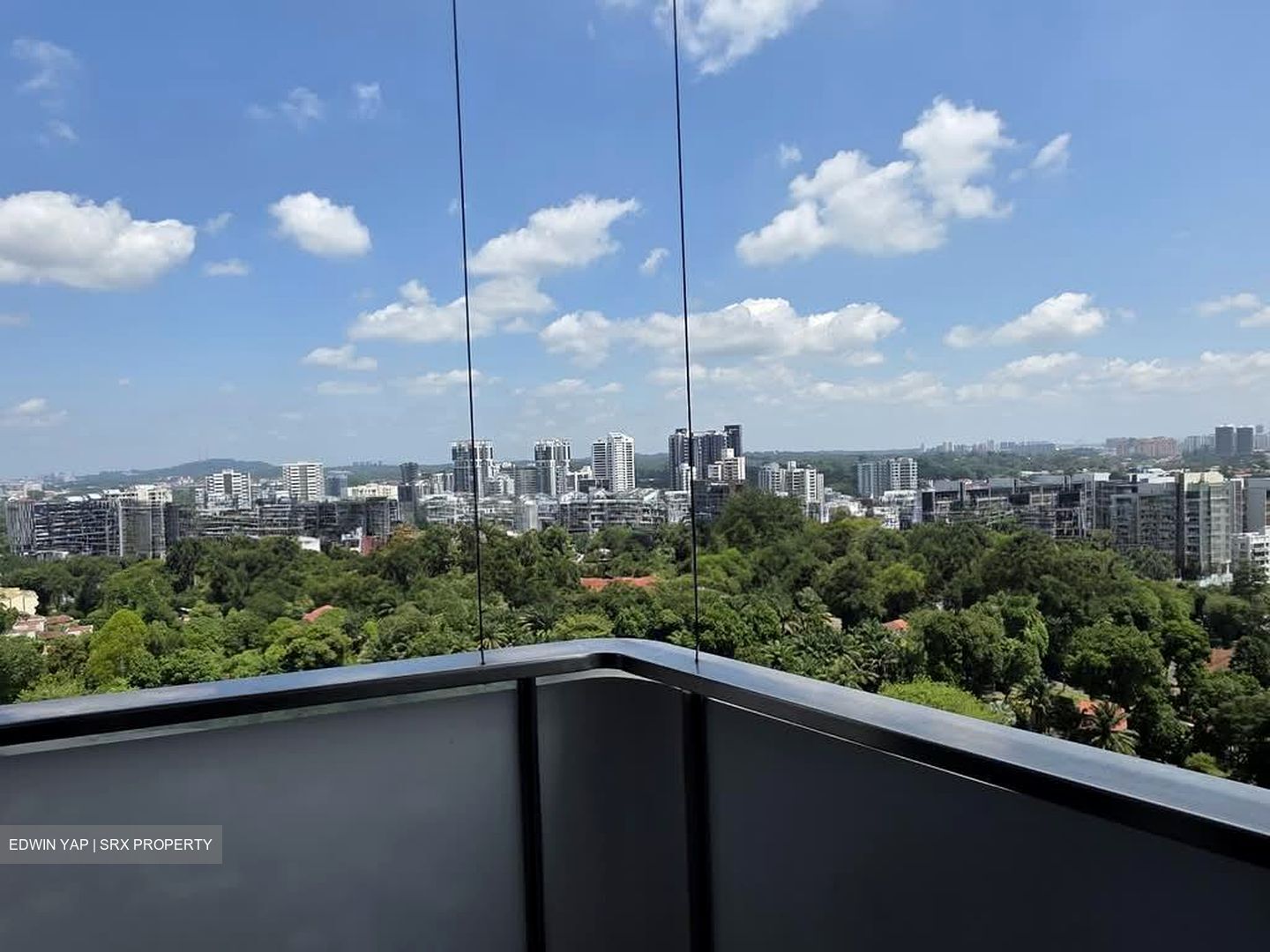 The Scotts Tower (D9), Condominium #560965481